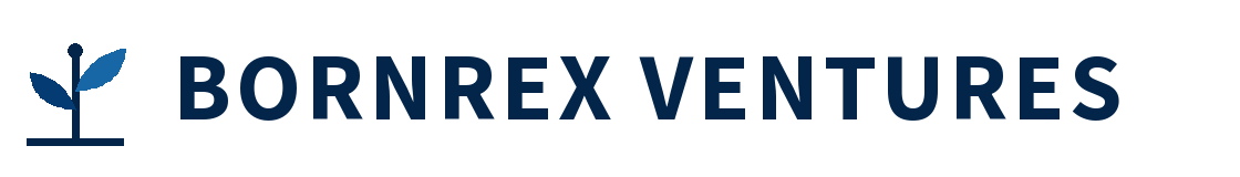Bornrex Ventures